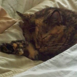 Meet your Posher, Joanne